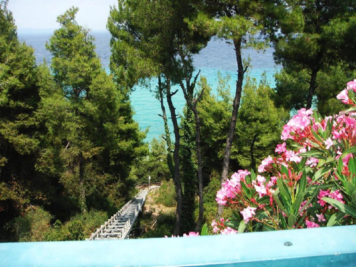 Porto Thea Alexandra Shared Pool Villa, Afytos Esterno foto
